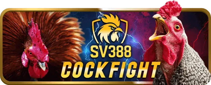 Công cụ tiếp thị chuyên nghiệp fcb88 chính thức